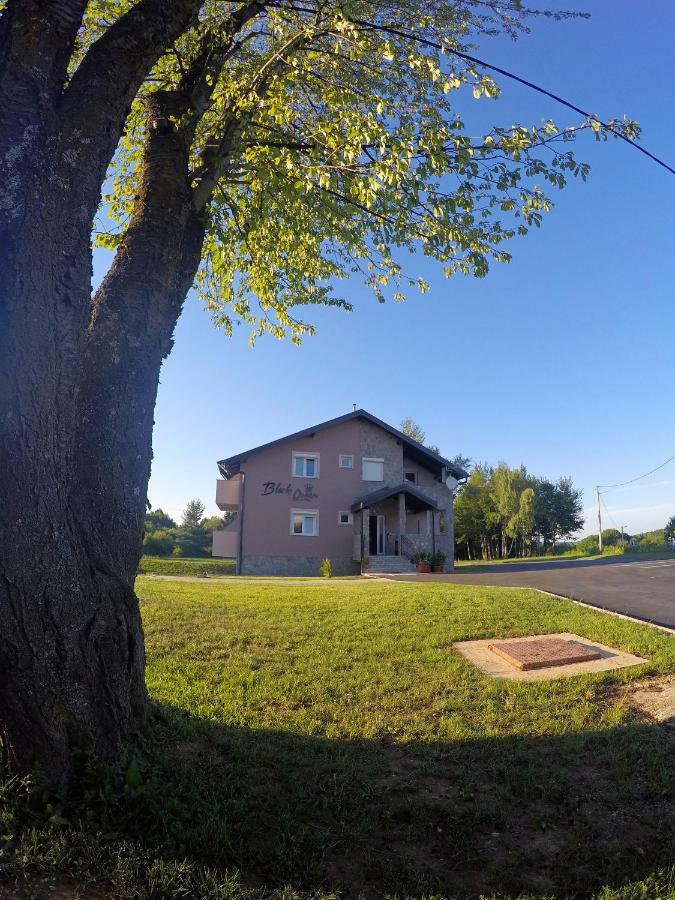 Black Queen Guesthouse Grabovac  Zewnętrze zdjęcie
